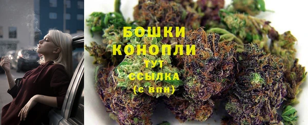 мяу мяу мука Осташков