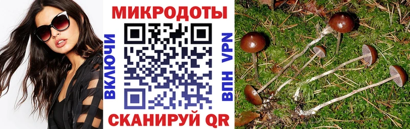 kraken зеркало  Туймазы  даркнет как зайти  Псилоцибиновые грибы Magic Shrooms 